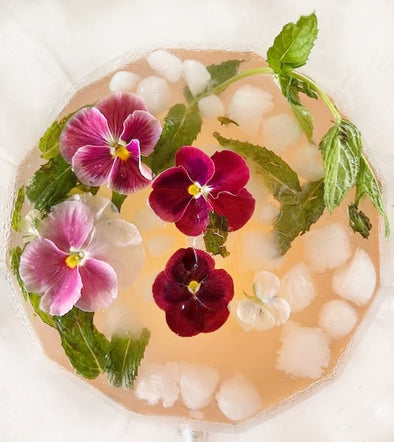 Rhubarb Mint Mojito