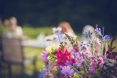 two bees and a bud party venue rental