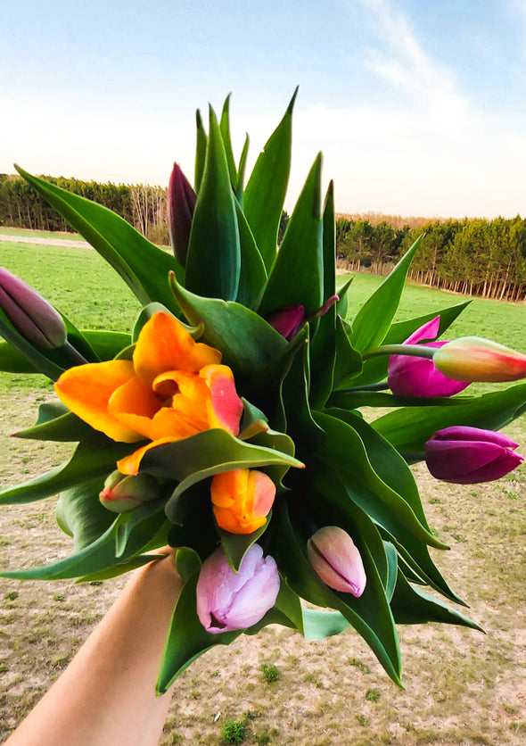 Tulip Bouquets