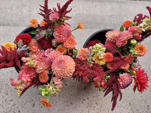 6 Week - Fall Bouquet Subscription 2024