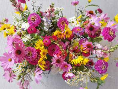 4 Week - Summer Bouquet Subscription 2025