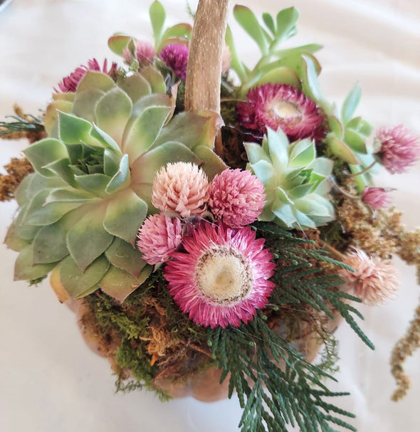 Pumpkin Succulent Centerpiece Class 2025