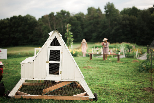 Adopt-a-Chicken Farm Experience 2025