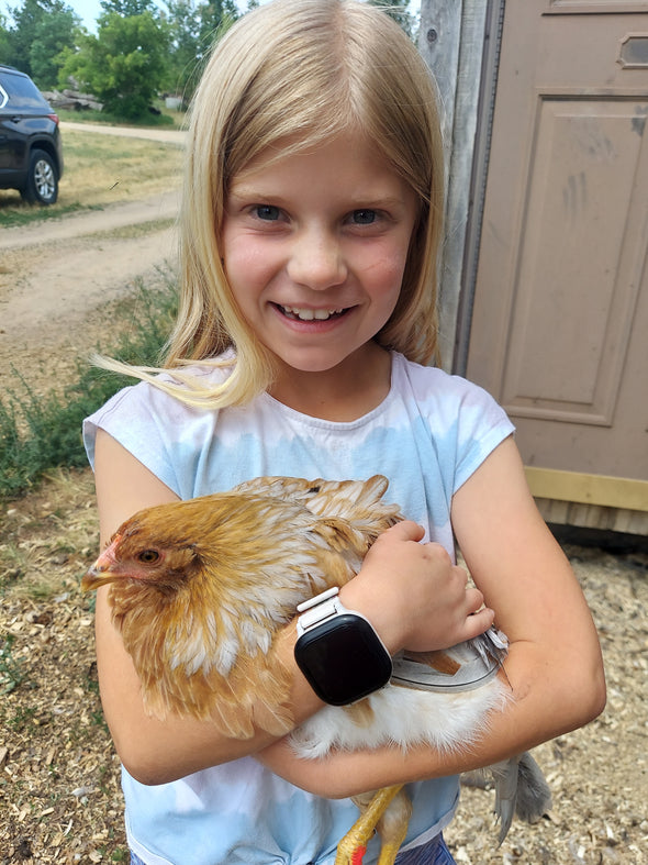 Adopt-a-Chicken Farm Experience 2024