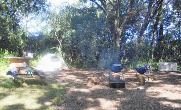 Campsite at Two Bees & A Bud