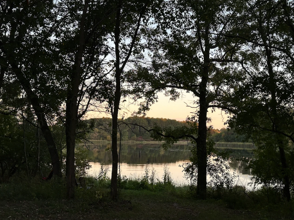 Campsite at Two Bees & A Bud