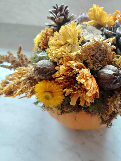 Pumpkin Succulent Centerpiece Class 2025