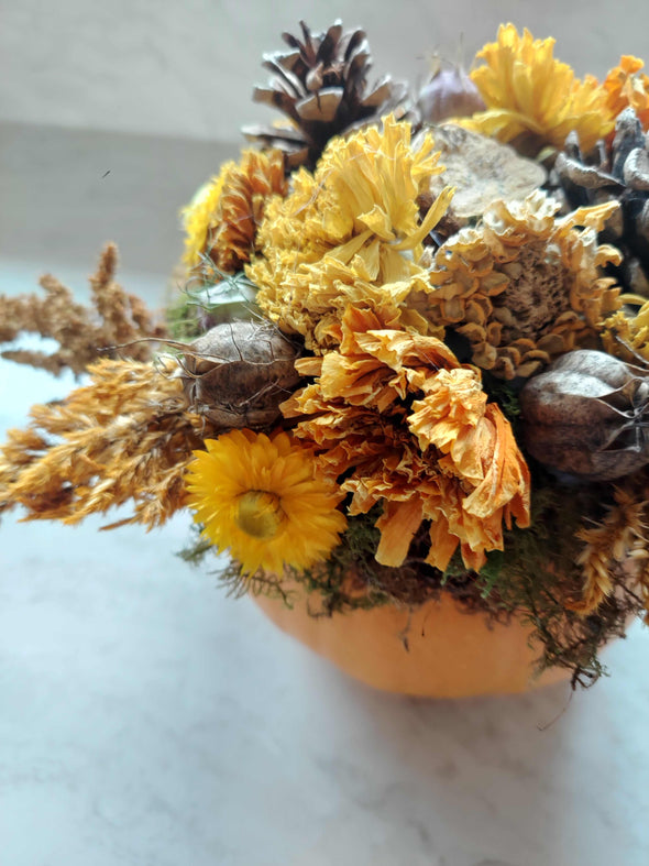 Pumpkin Succulent Centerpiece Class 2025