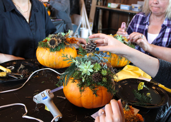 Pumpkin Succulent Centerpiece Class 2025